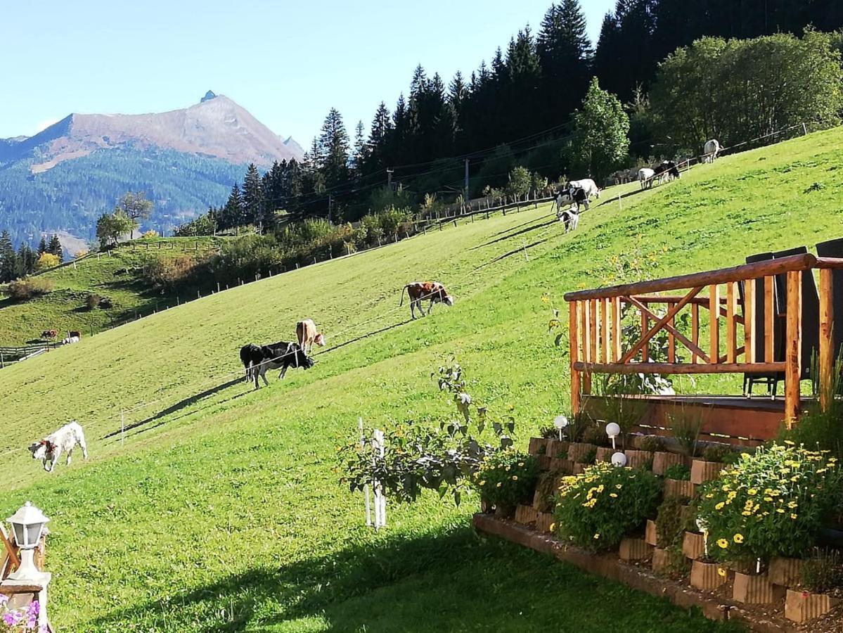 Urlaub Am Krausberghof, Apartment Mit Balkon Und Parkplatz, Inmitten Der Natur, Sauna Und Infrarotkabine, Kostenfreie Kaffeekapseln, 6 Fahrminuten Zur Alpentherme Gastein Und Zur Schlossalmbahn, Spielplatz Bad Hofgastein Ngoại thất bức ảnh