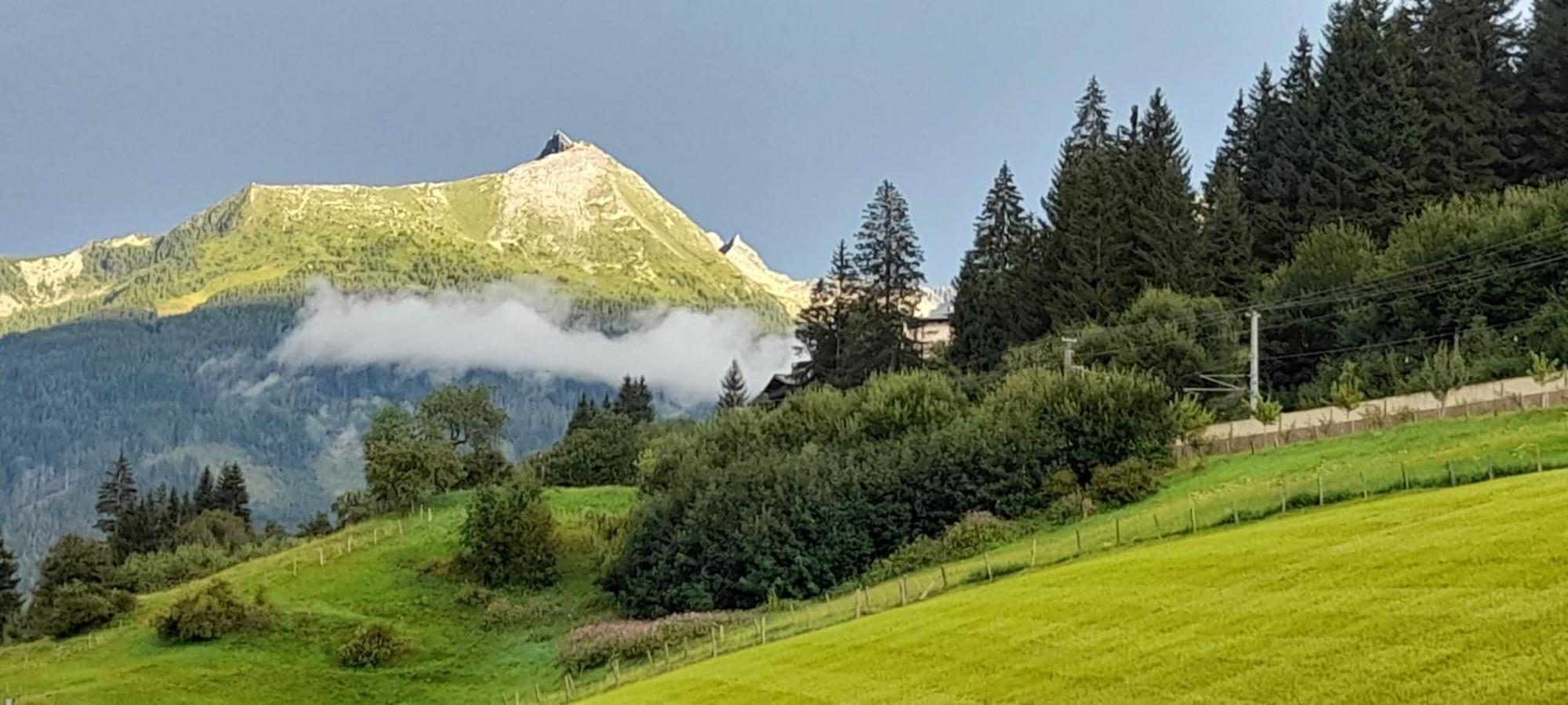 Urlaub Am Krausberghof, Apartment Mit Balkon Und Parkplatz, Inmitten Der Natur, Sauna Und Infrarotkabine, Kostenfreie Kaffeekapseln, 6 Fahrminuten Zur Alpentherme Gastein Und Zur Schlossalmbahn, Spielplatz Bad Hofgastein Ngoại thất bức ảnh