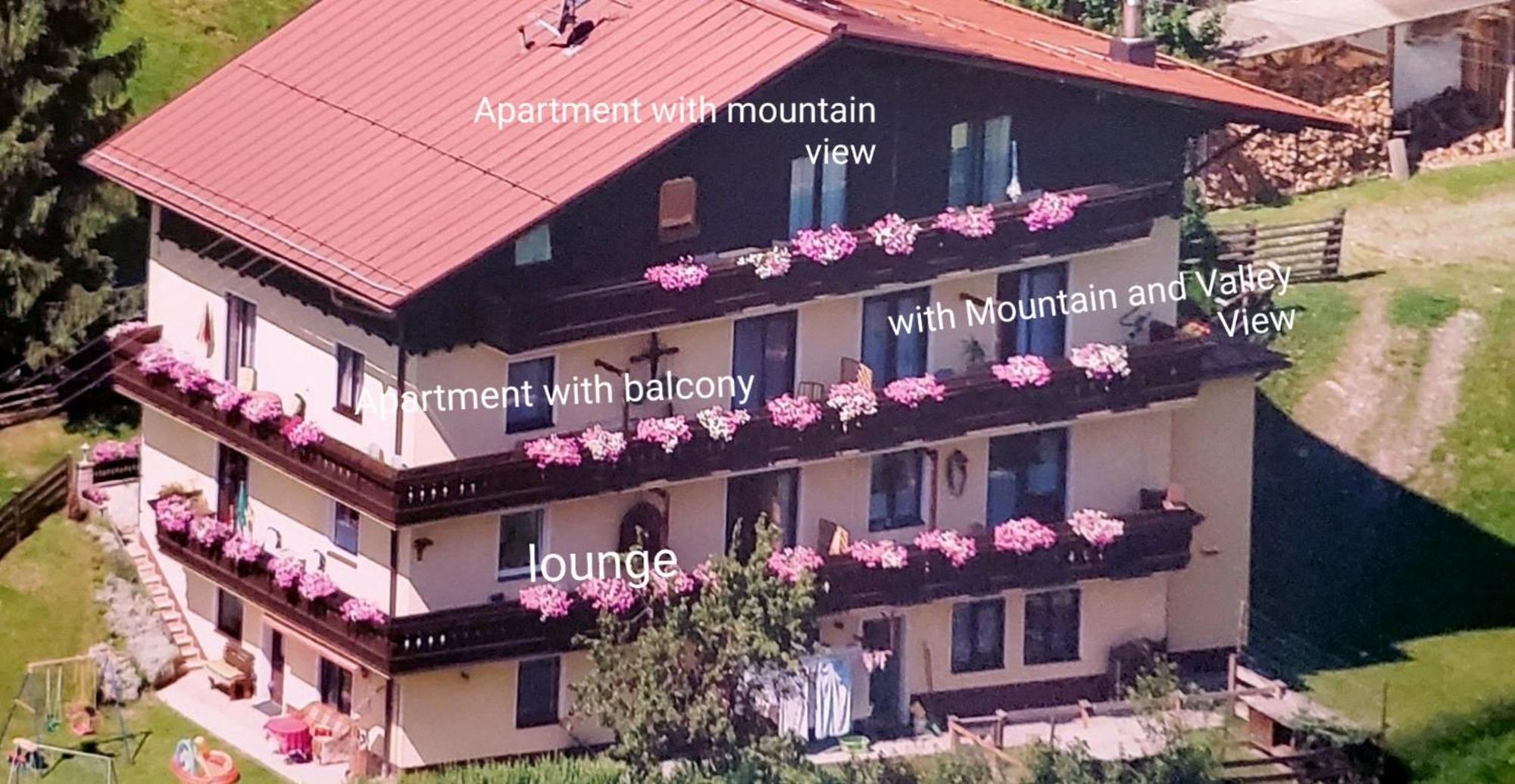 Urlaub Am Krausberghof, Apartment Mit Balkon Und Parkplatz, Inmitten Der Natur, Sauna Und Infrarotkabine, Kostenfreie Kaffeekapseln, 6 Fahrminuten Zur Alpentherme Gastein Und Zur Schlossalmbahn, Spielplatz Bad Hofgastein Ngoại thất bức ảnh
